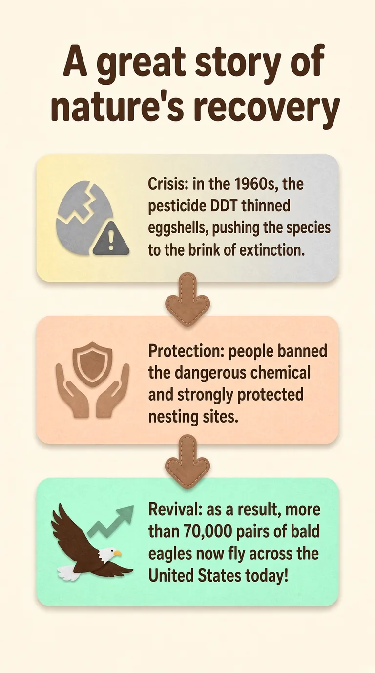 A great story of nature's recovery — Crisis / Protection / Revival