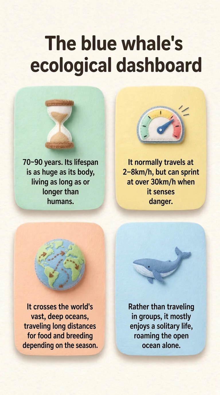 The blue whale's ecological dashboard