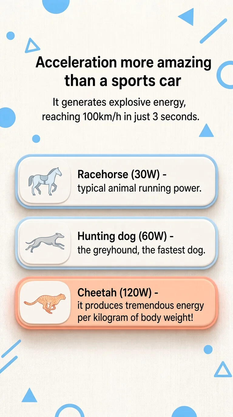 Acceleration more amazing than a sports car — It generates explosive energy, reaching 100km/h in just 3 seconds.