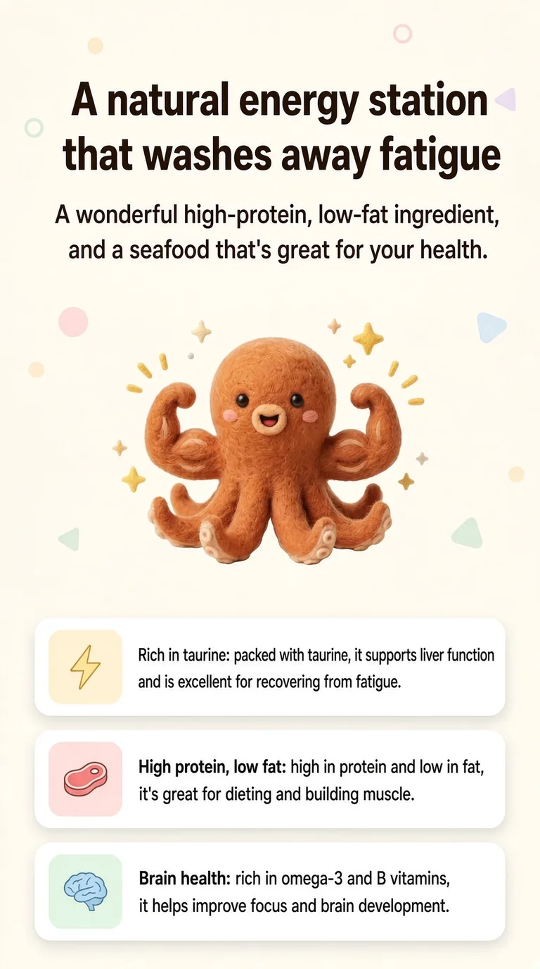 A natural energy station that washes away fatigue — A wonderful high-protein, low-fat ingredient, and a seafood that's great for your health. — Rich in taurine / High protein, low fat / Brain health