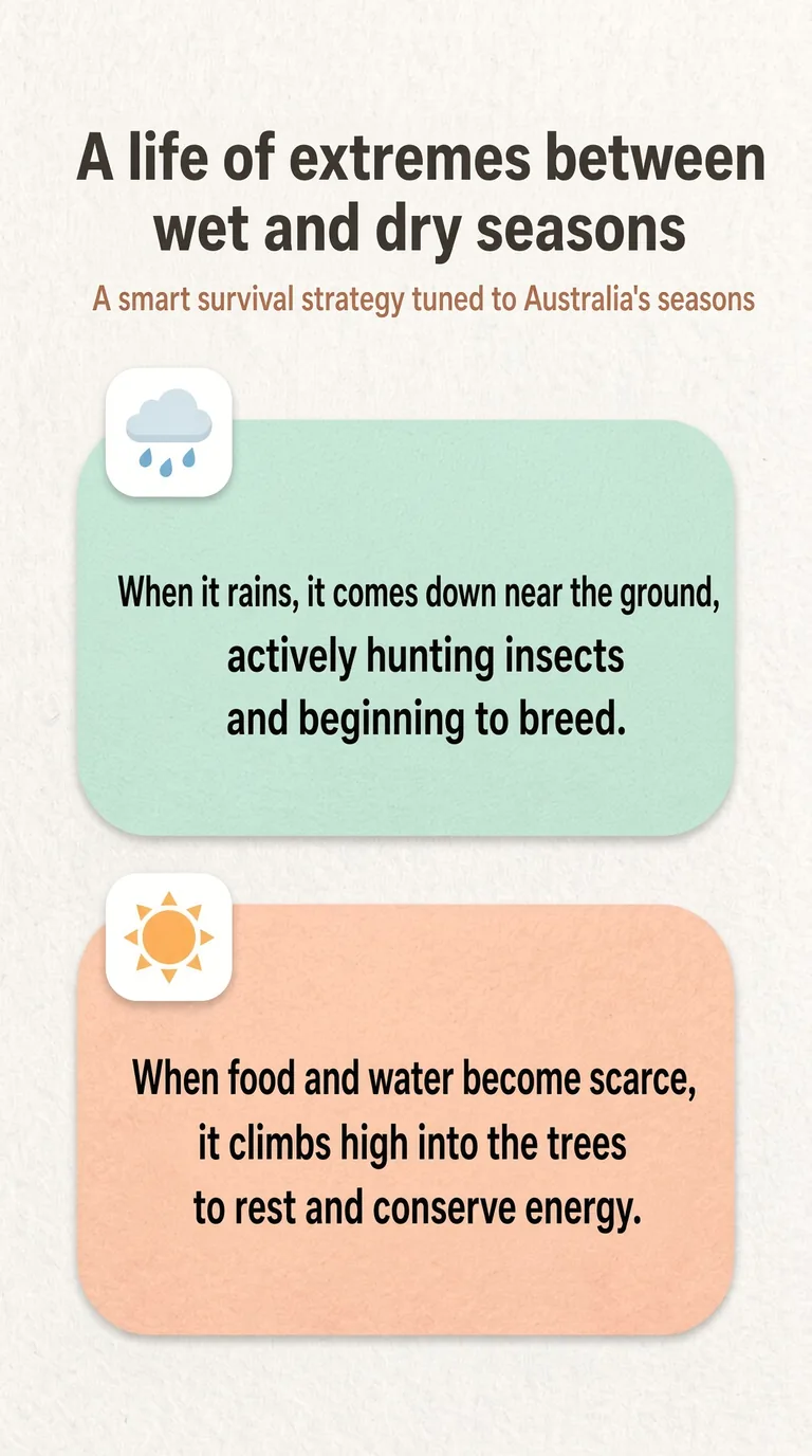 A life of extremes between wet and dry seasons — A smart survival strategy tuned to Australia's seasons