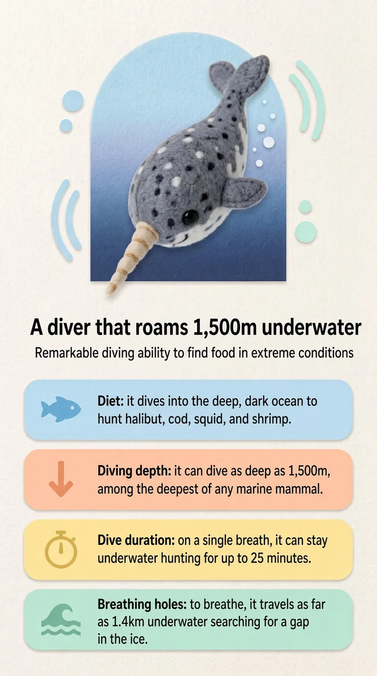 A diver that roams 1,500m underwater — Remarkable diving ability to find food in extreme conditions — Diet / Diving depth / Dive duration / Breathing holes