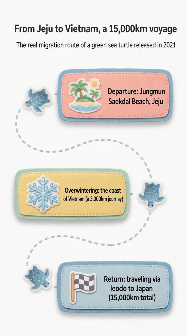 From Jeju to Vietnam, a 15,000km voyage — The real migration route of a green sea turtle released in 2021 — Departure / Overwintering / Return