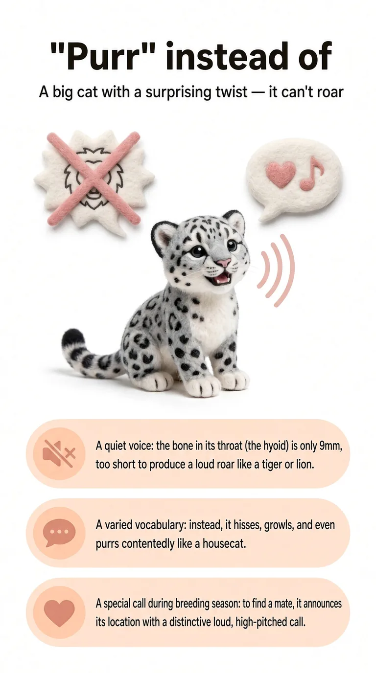 "Purr" instead of "roar" — A big cat with a surprising twist — it can't roar — A quiet voice / A varied vocabulary / A special call during breeding season