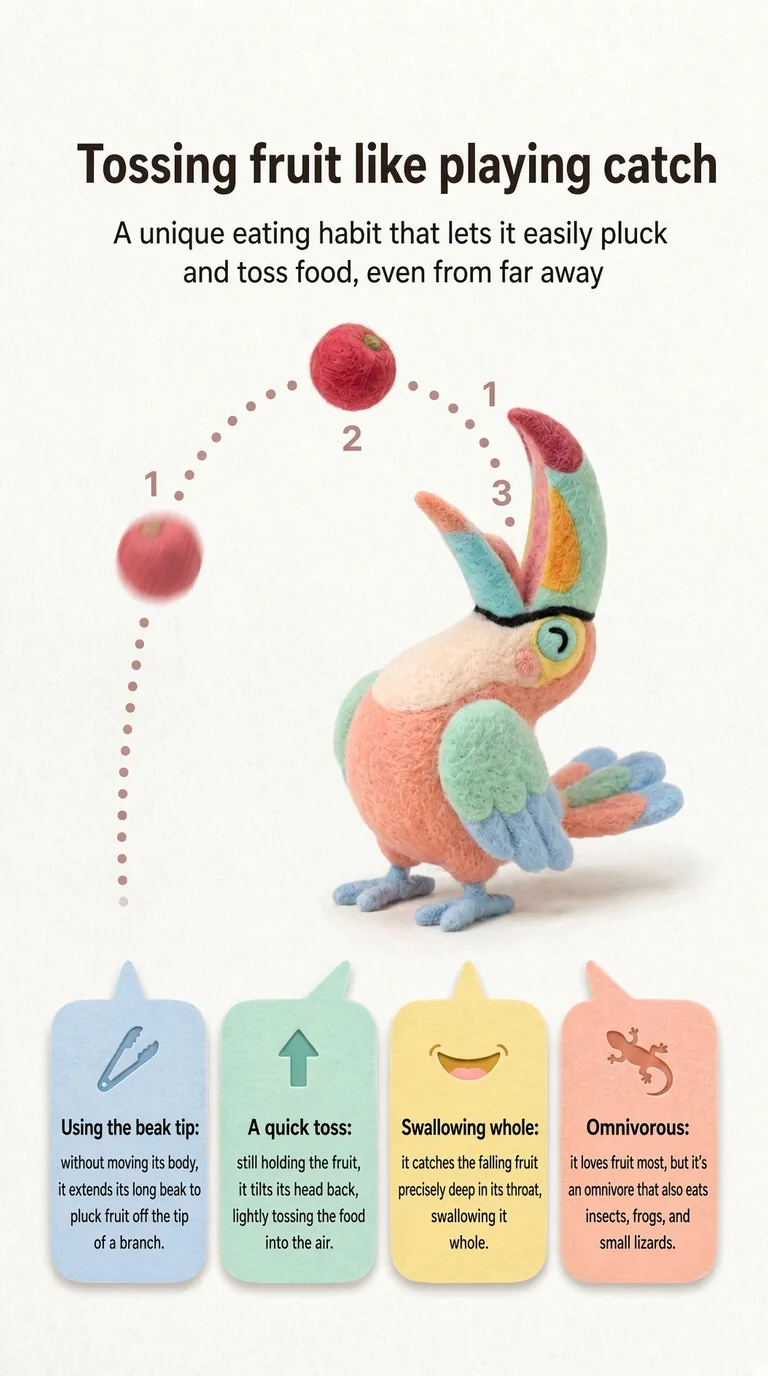 Tossing fruit like playing catch — A unique eating habit that lets it easily pluck and toss food, even from far away — Using the beak tip / A quick toss / Swallowing whole / Omnivorous