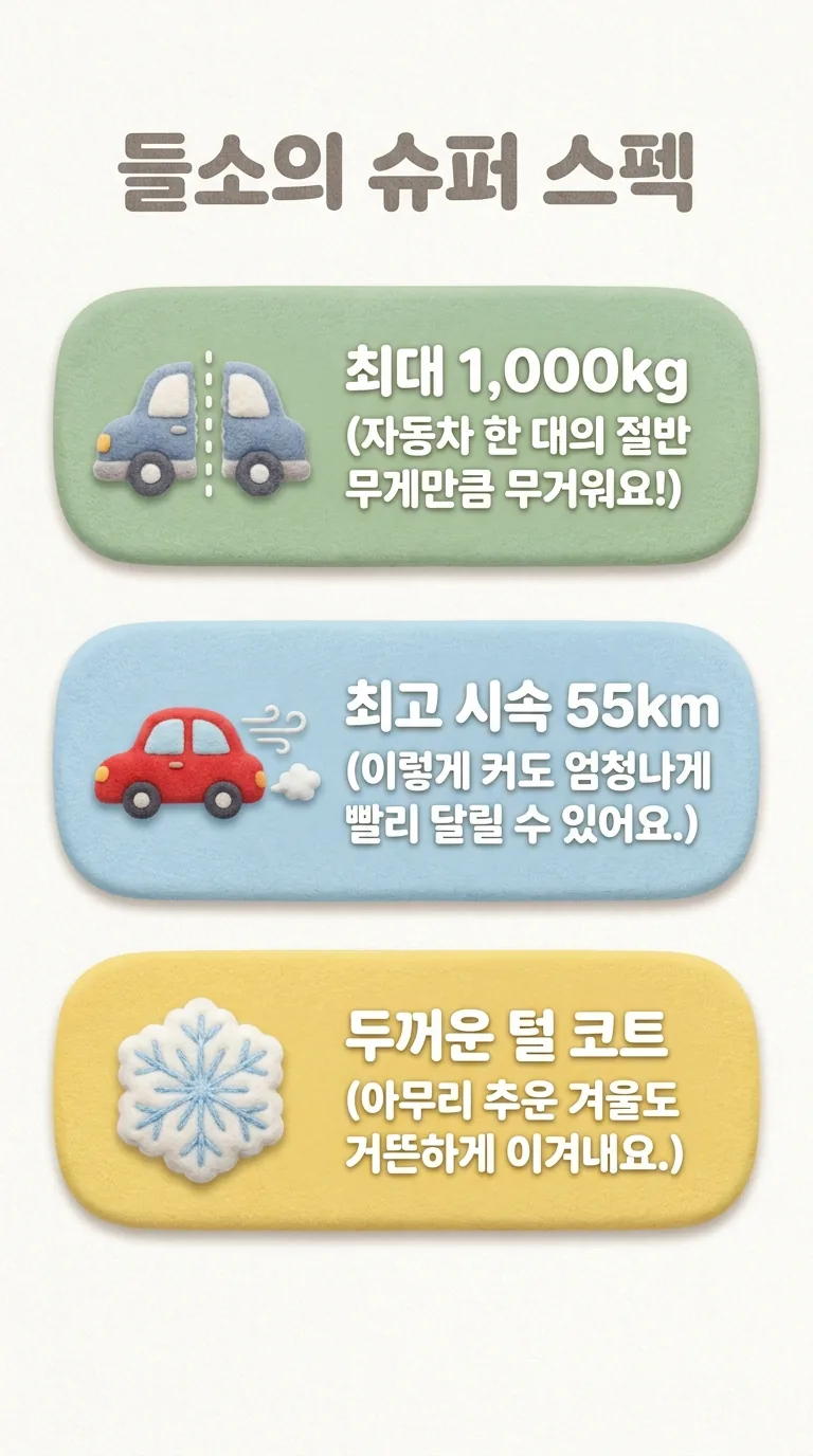 들소의 슈퍼 스펙 — 최대 1,000kg / 최고 시속 55km / 두꺼운 털 코트