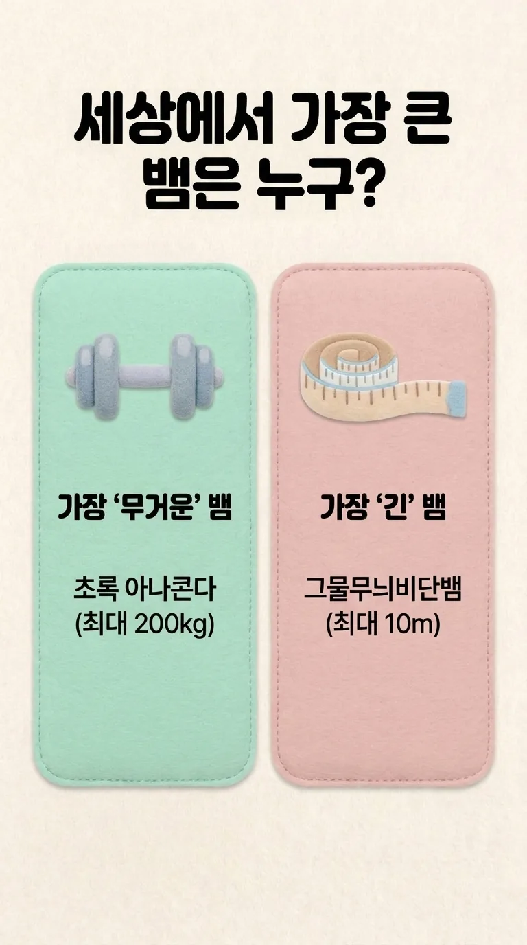 세상에서 가장 큰 뱀은 누구? — 가장 '무거운' 뱀 / 가장 긴' 뱀