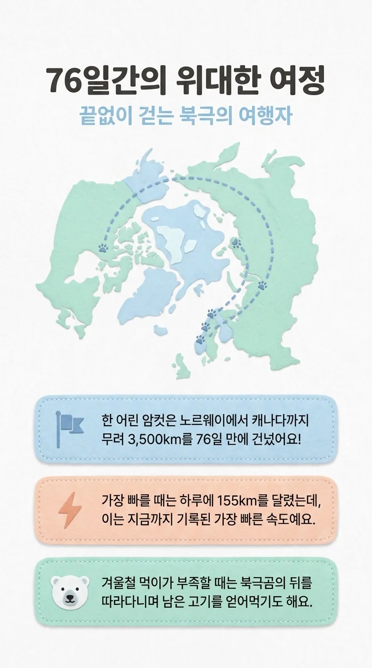 76일간의 위대한 여정 — 끝없이 걷는 북극의 여행자