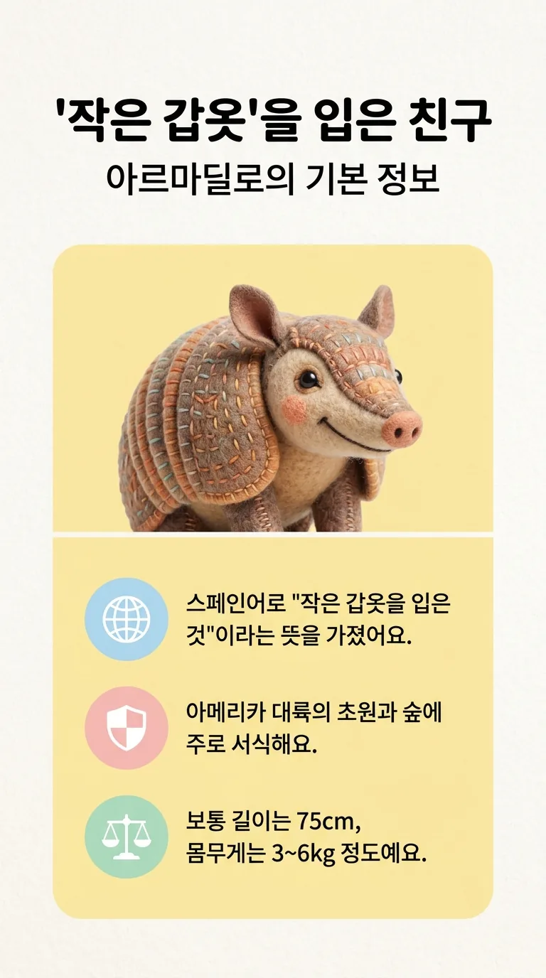 ’작은 갑옷'을 입은 친구 — 아르마딜로의 기본 정보