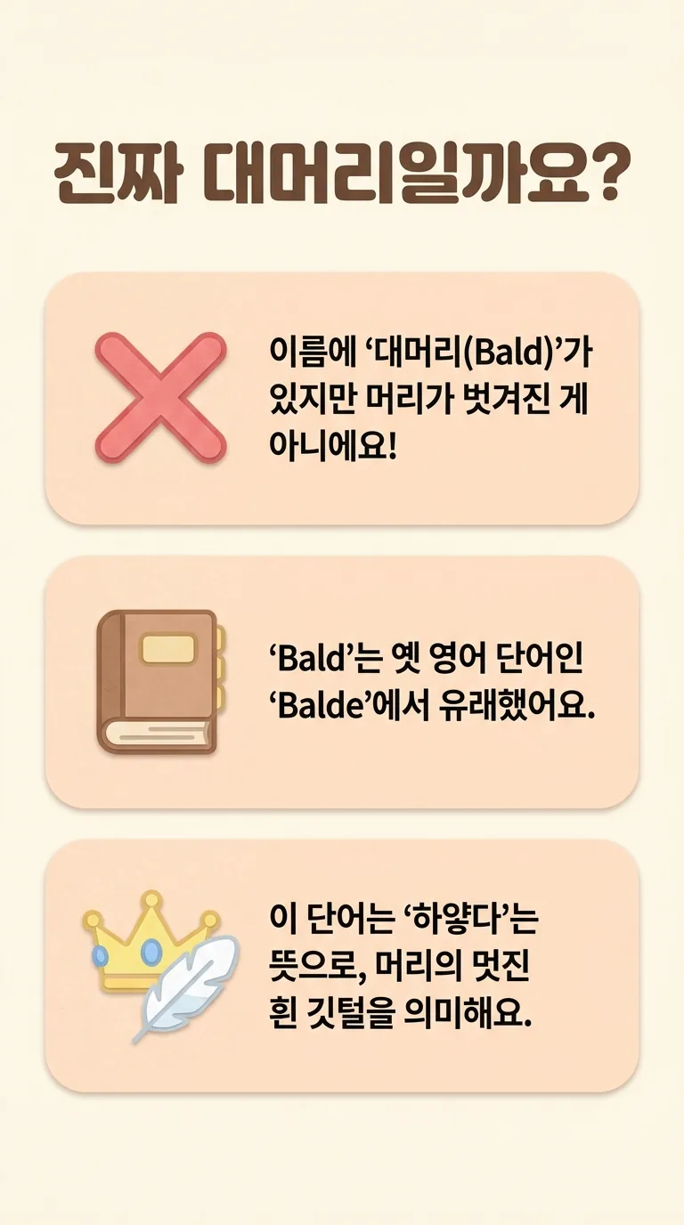 진짜 대머리일까요?