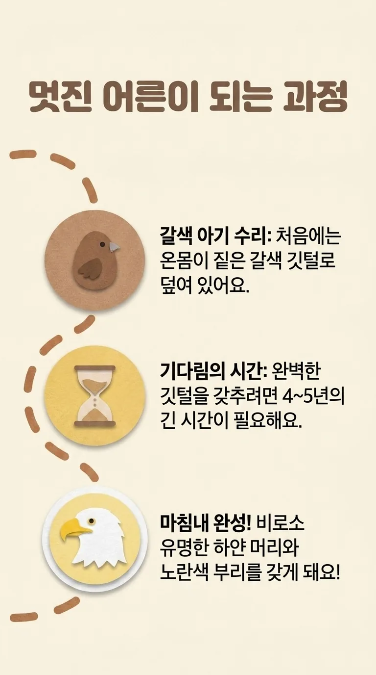 멋진 어른이 되는 과정 — 갈색 아기 수리 / 기다림의 시간