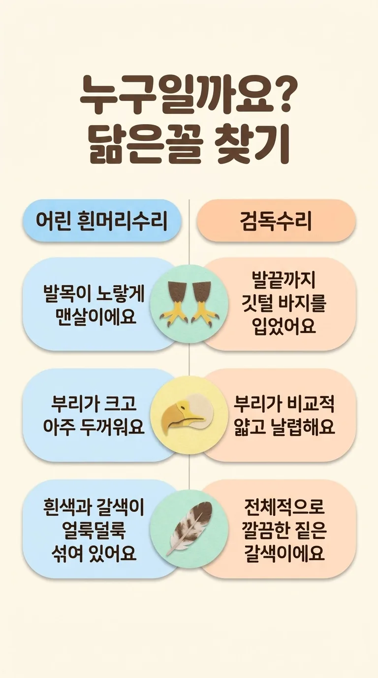 누구일까요? 닮은꼴 찾기 — 어린 흰머리수리 / 검독수리