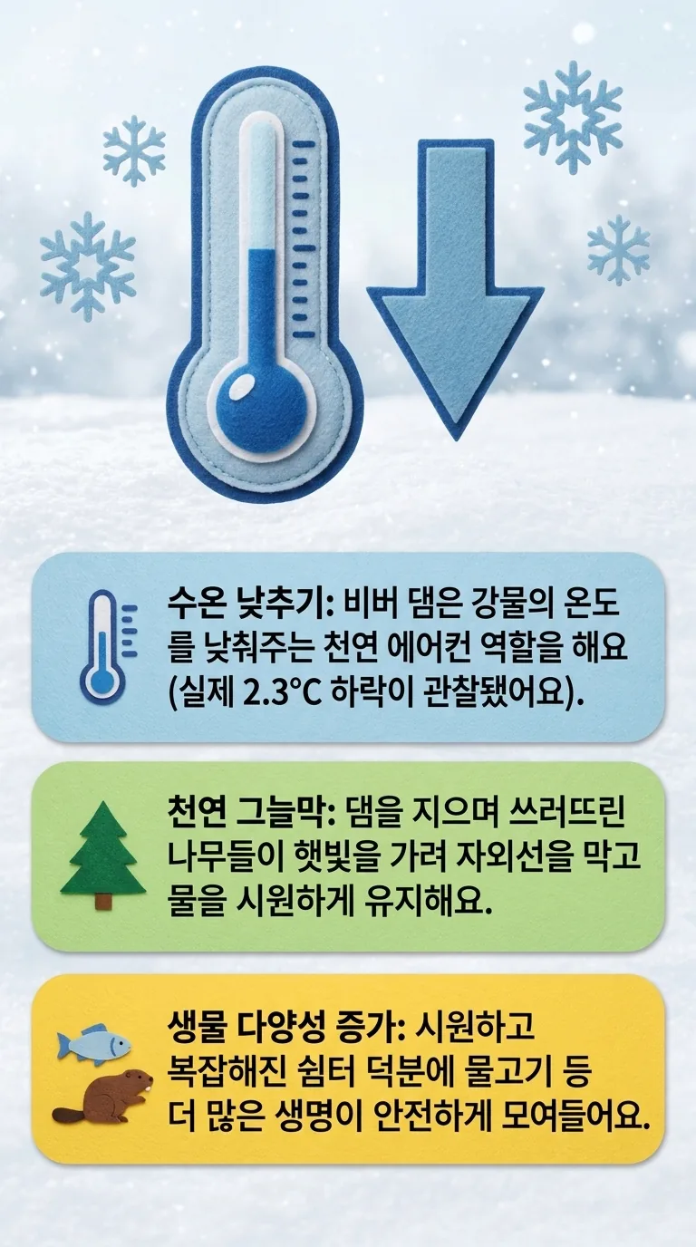 비버의 역할