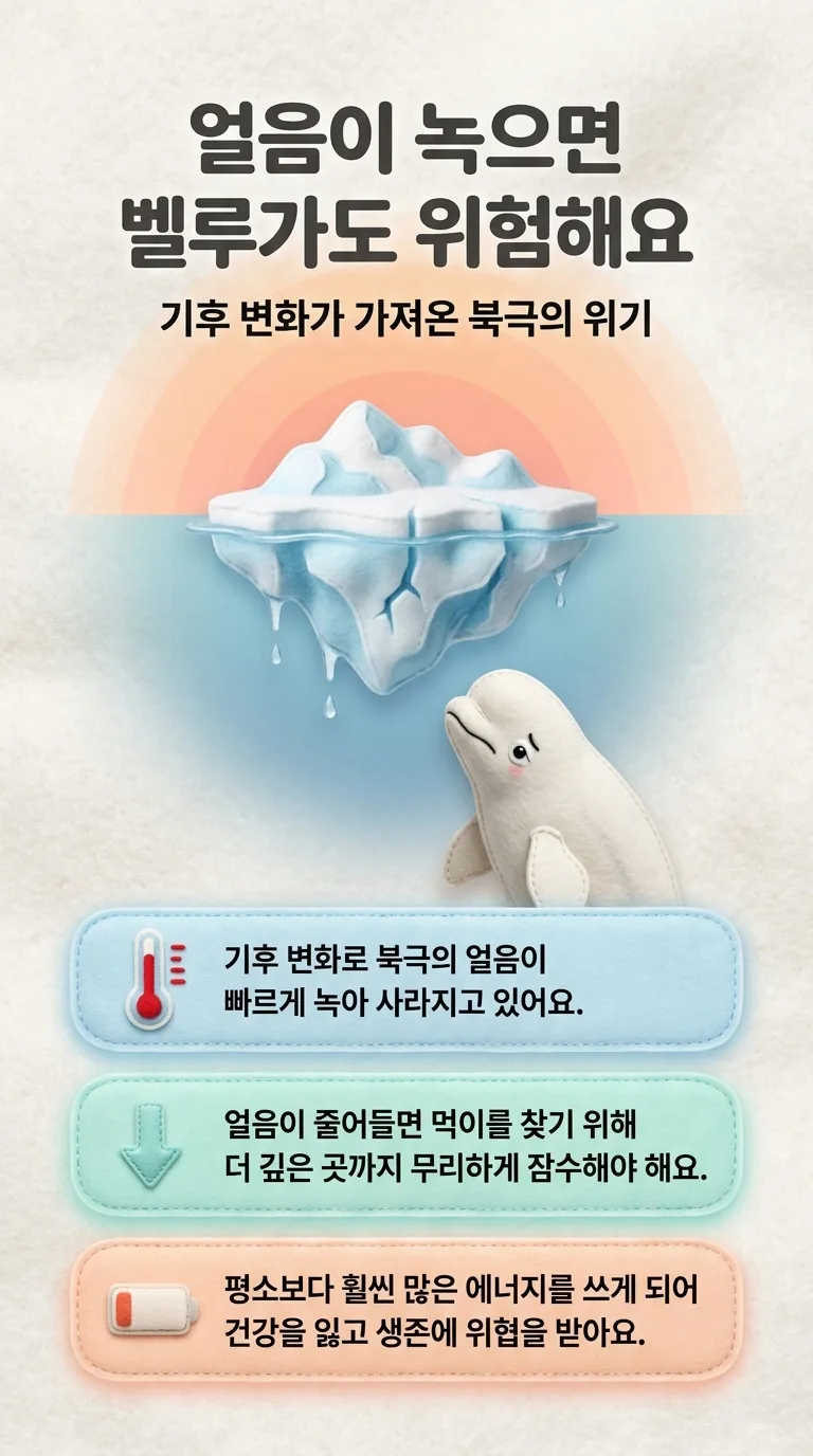 얼음이 녹으면 벨루가도 위험해요 — 기후 변화가 가져온 북극의 위기