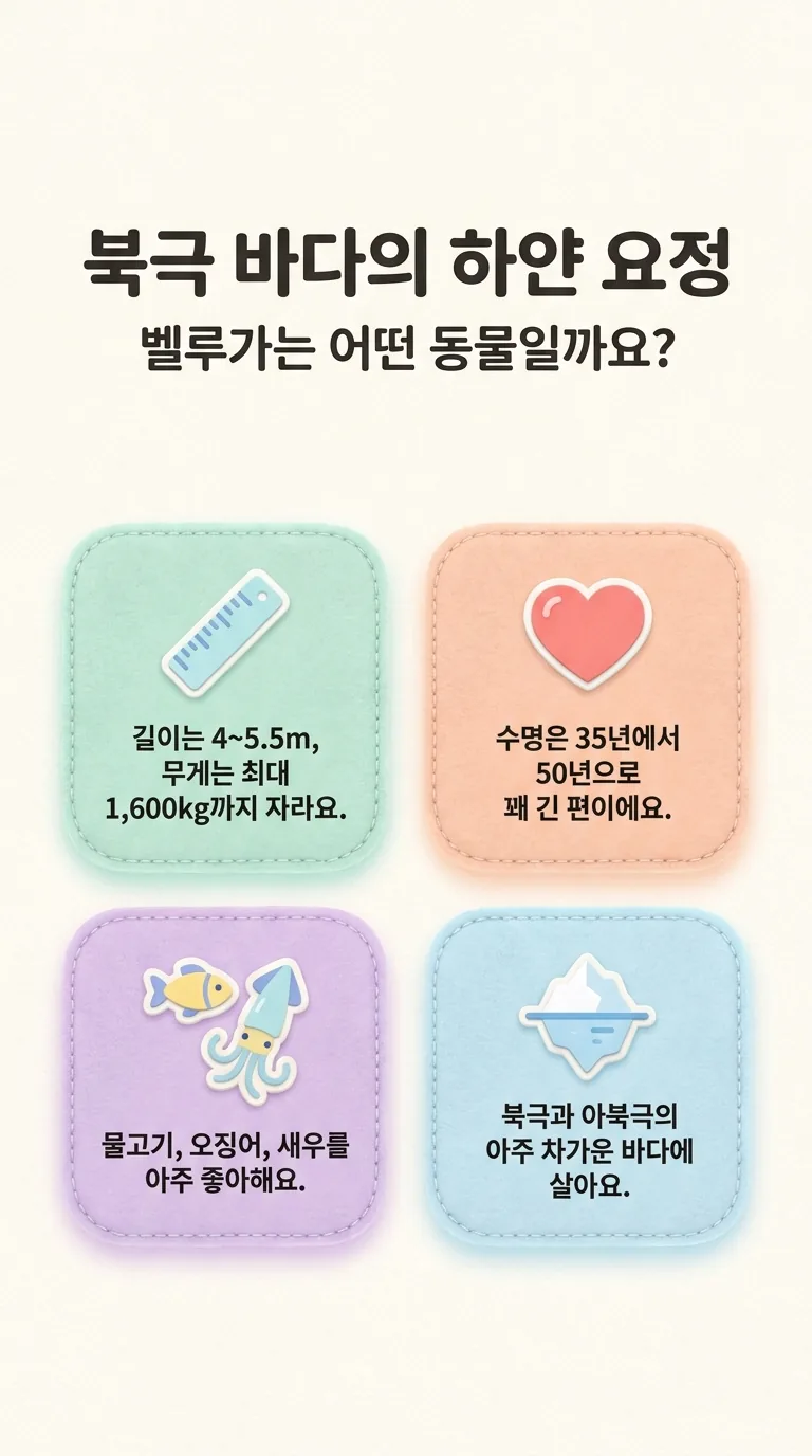 북극 바다의 하얀 요정 벨루가는 어떤 동물일까요?