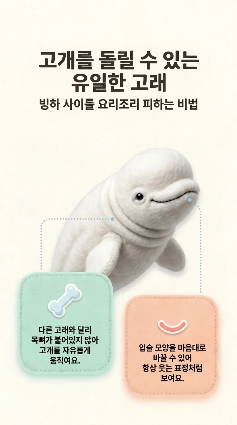 고개를 돌릴 수 있는 유일한 고래 — 빙하 사이를 요리조리 피하는 비법