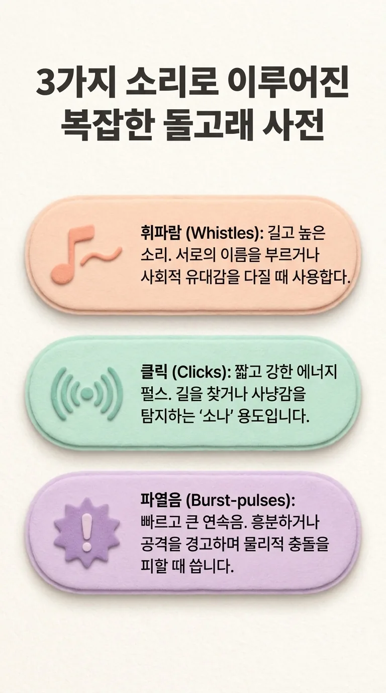 3가지 소리로 이루어진 복잡한 돌고래 사전 — 휘파람 (Whistles) / 클릭 (Clicks) / 파열음 (Burst-pulses)