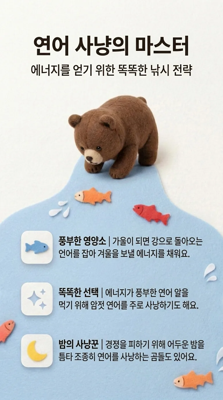 연어 사냥의 마스터 — 에너지를 얻기 위한 똑똑한 낚시 전략 — 풍부한 영양소 / 똑똑한 선택 / 밤의 사냥꾼