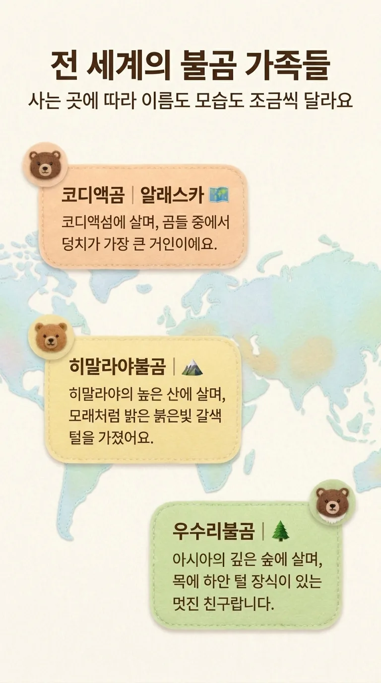 전 세계의 불곰 가족들 — 사는 곳에 따라 이름도 모습도 조금씩 달라요 — 코디액곰 / 히말라야불곰 / 우수리불곰