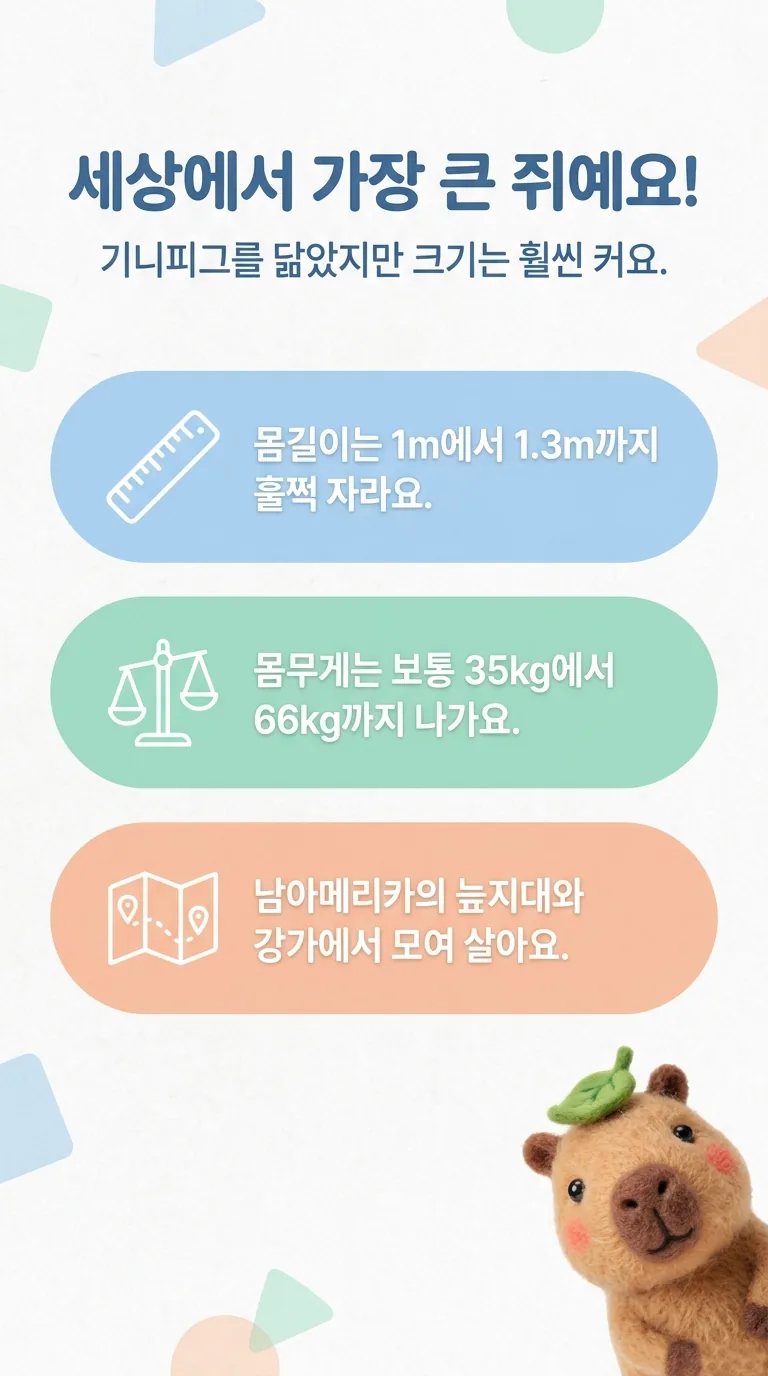 세상에서 가장 큰 쥐예요! — 기니피그를 닮았지만 크기는 훨씬 커요.