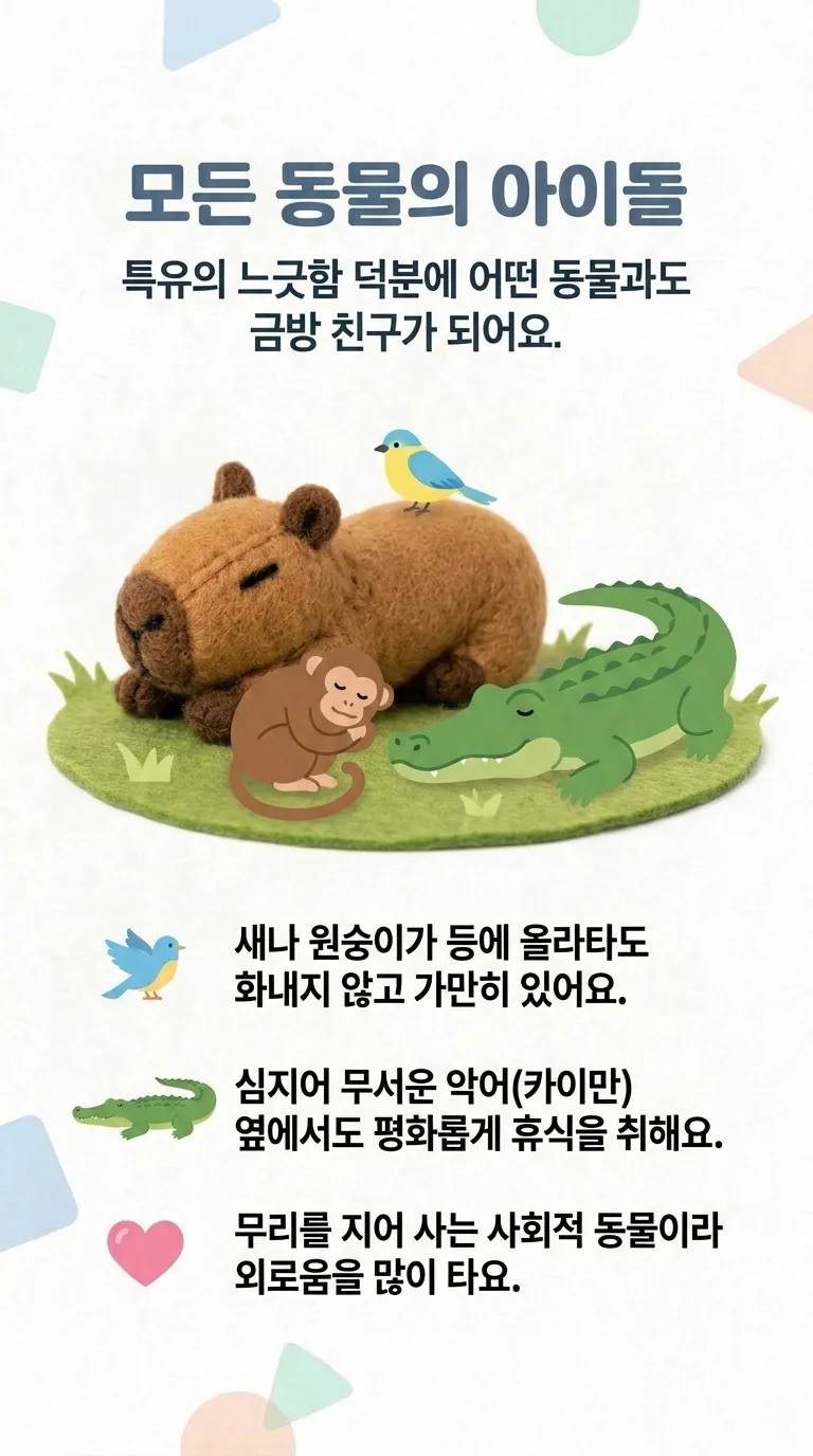 모든 동물의 아이돌 — 특유의 느긋함 덕분에 어떤 동물과도 금방 친구가 되어요.
