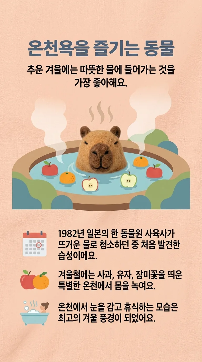 온천욕을 즐기는 동물 — 추운 겨울에는 따뜻한 물에 들어가는 것을 가장 좋아해요.