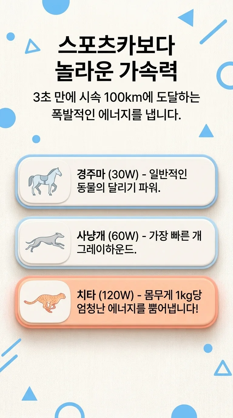 스포츠카보다 놀라운 가속력 — 3초 만에 시속 100km에 도달하는 폭발적인 에너지를 냅니다.