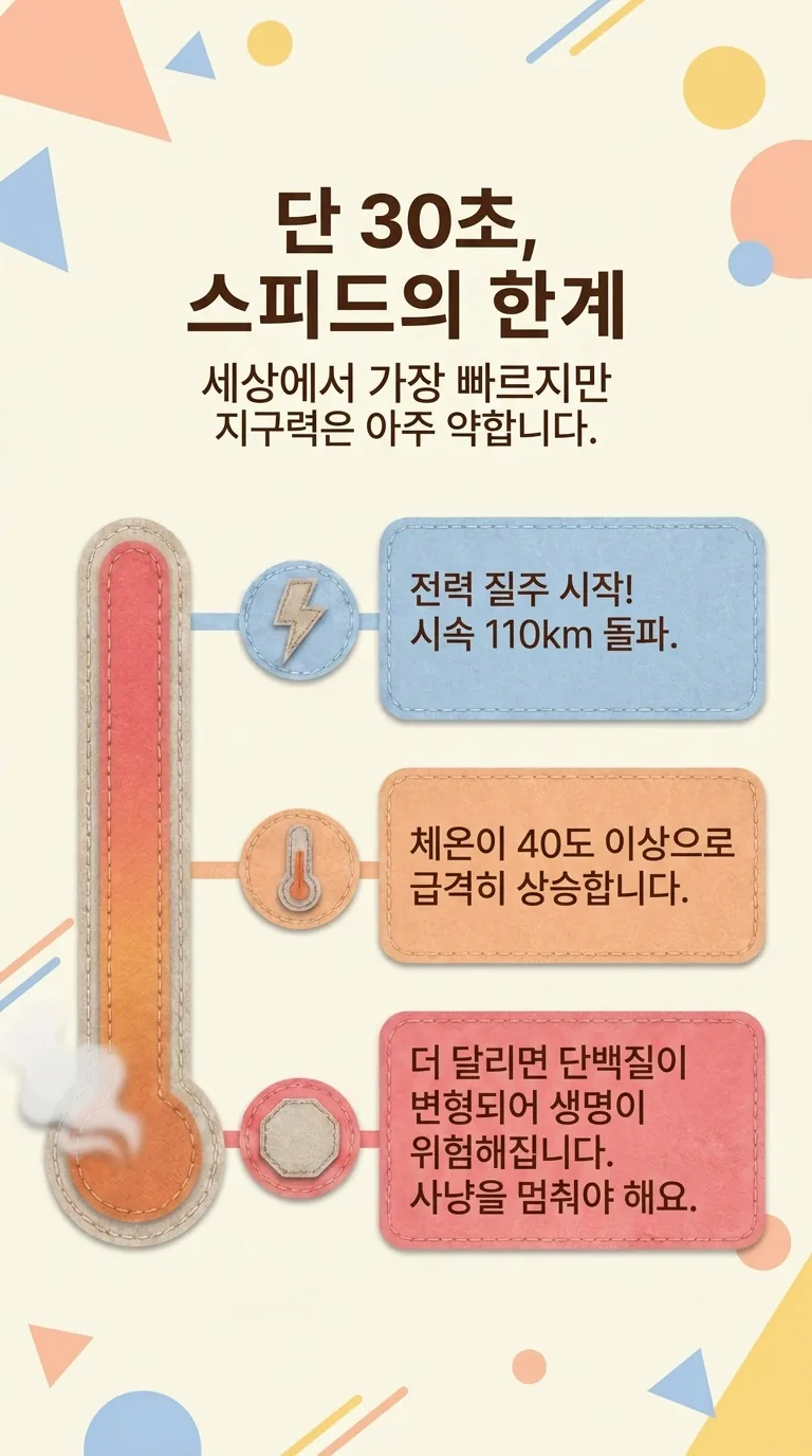 단 30초, 스피드의 한계 — 세상에서 가장 빠르지만 지구력은 아주 약합니다.
