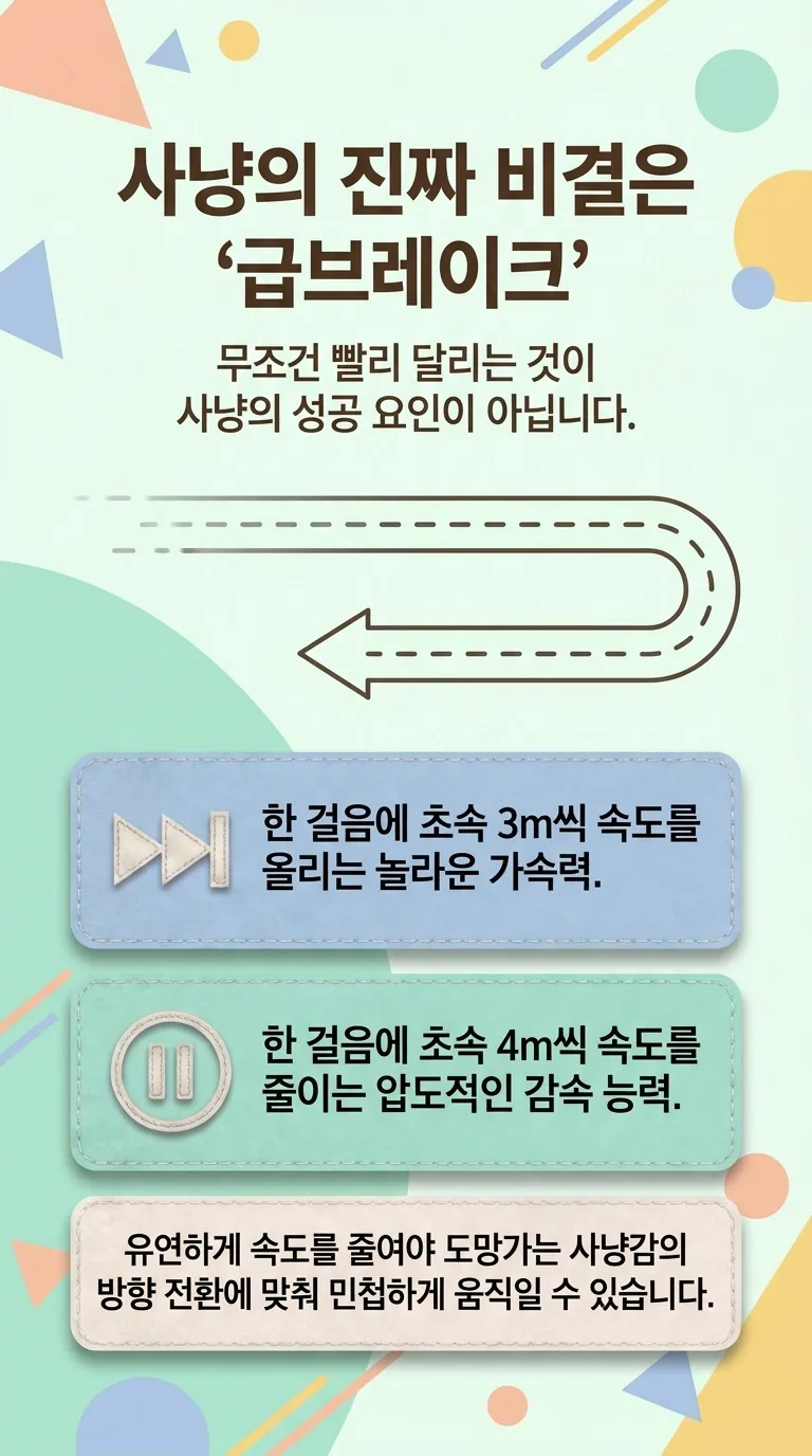 사냥의 진짜 비결은 '급브레이크' — 무조건 빨리 달리는 것이 사냥의 성공 요인이 아닙니다.