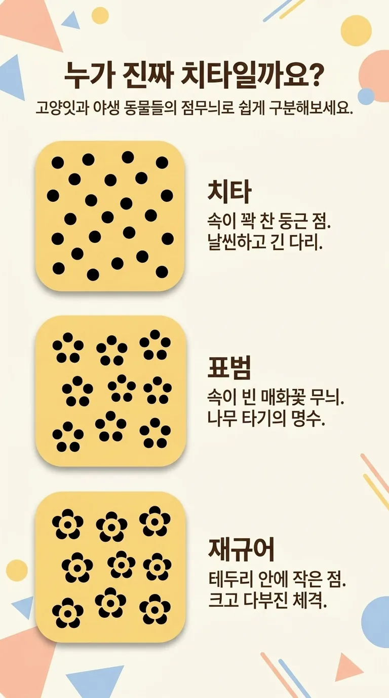 누가 진짜 치타일까요? — 고양잇과 야생 동물들의 점무늬로 쉽게 구분해보세요. — 치타 / 표범 / 재규어