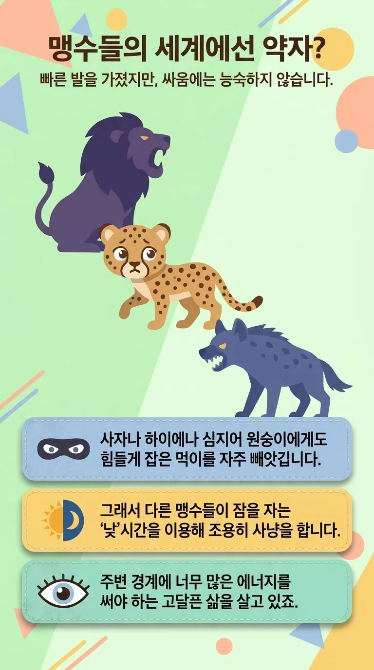 맹수들의 세계에선 약자? — 빠른 발을 가졌지만, 싸움에는 능숙하지 않습니다.