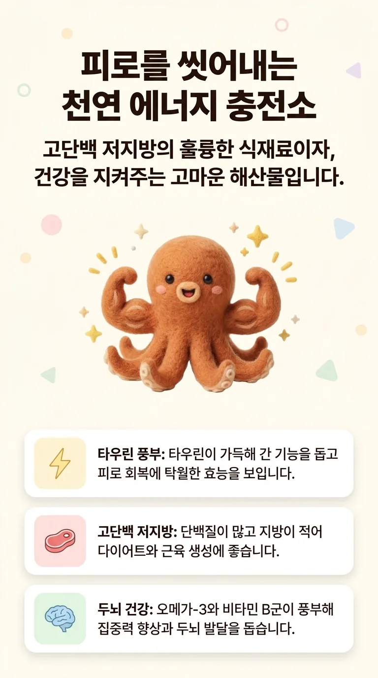 피로를 씻어내는 천연 에너지 충전소 — 고단백 저지방의 훌륭한 식재료이자, 건강을 지켜주는 고마운 해산물입니다. — 타우린 풍부 / 고단백 저지방 / 두뇌 건강