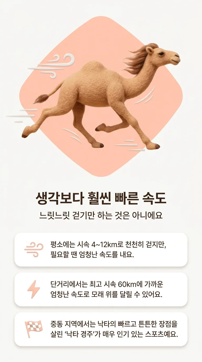 생각보다 훨씬 빠른 속도 — 느릿느릿 걷기만 하는 것은 아니에요