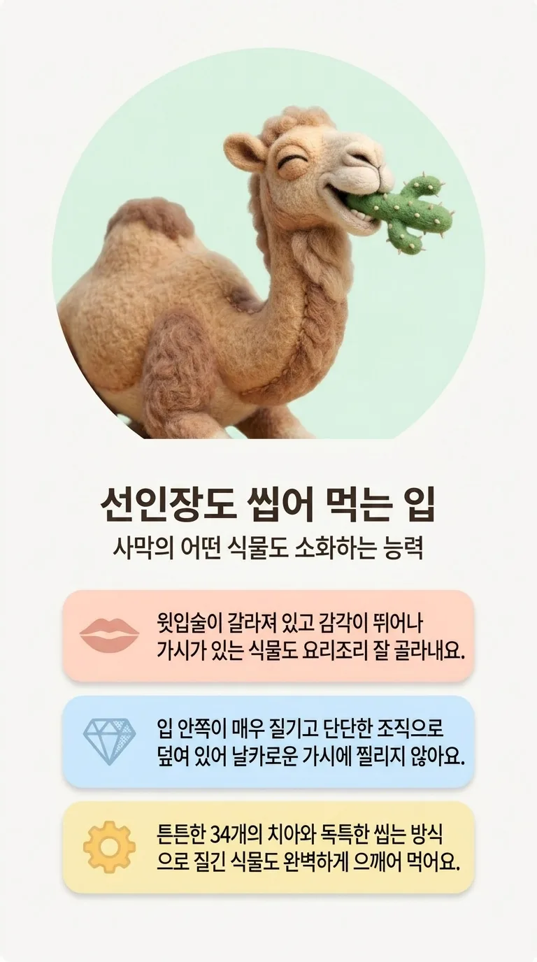 선인장도 씹어 먹는 입 — 사막의 어떤 식물도 소화하는 능력