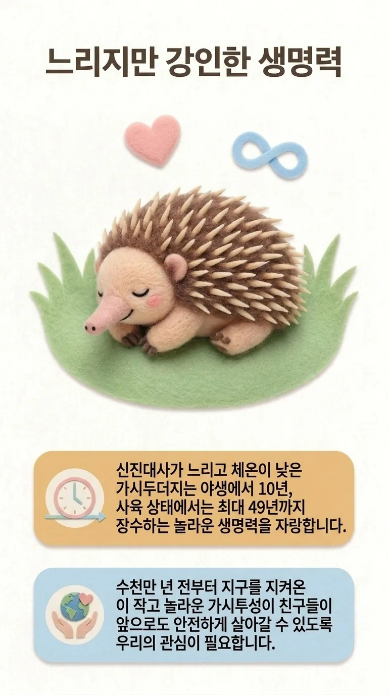 느리지만 강인한 생명력