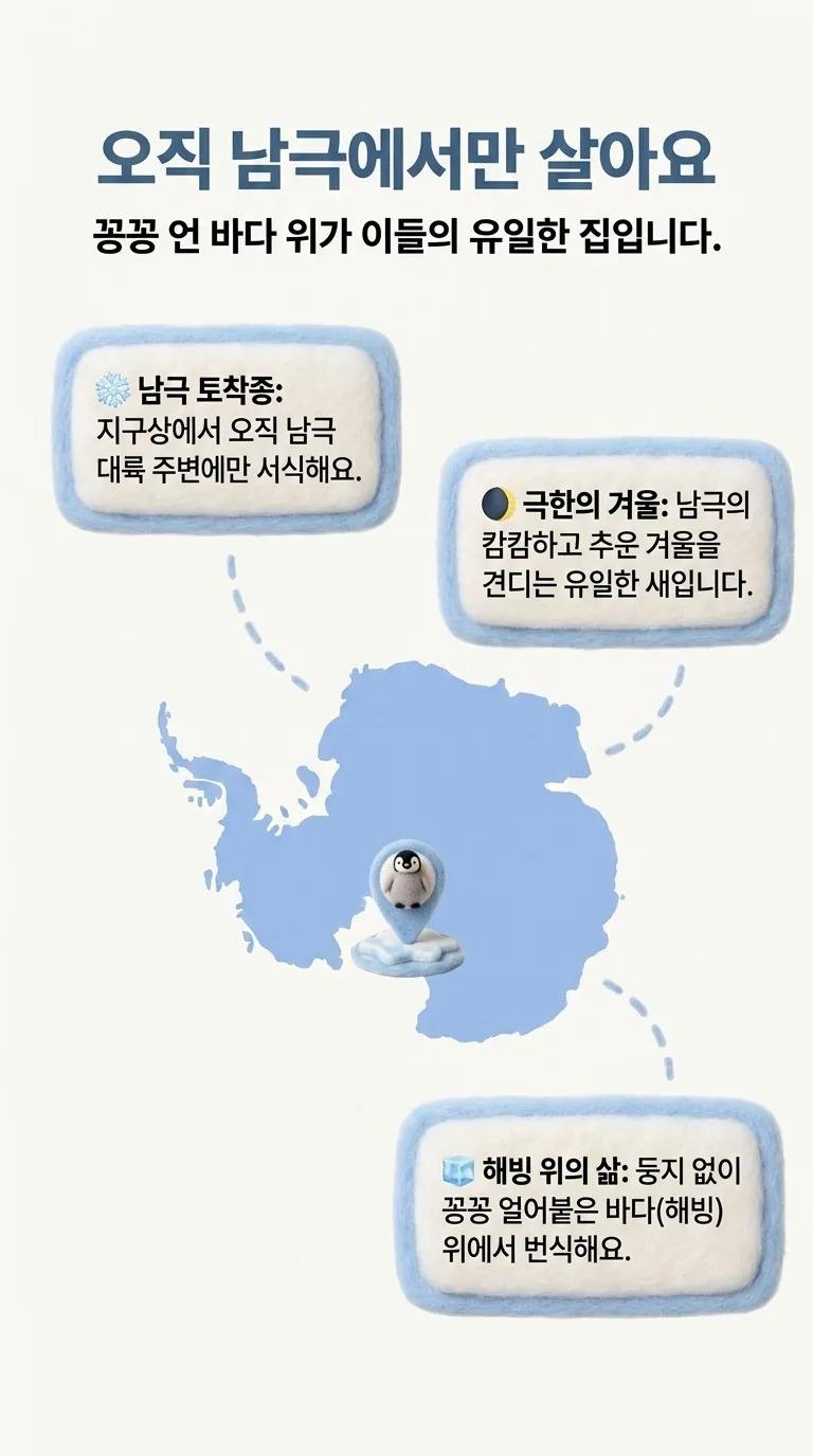 오직 남극에서만 살아요 — 꽁꽁 언 바다 위가 이들의 유일한 집입니다. — 남극 토착종 / 극한의 겨울 / 해빙 위의 삶