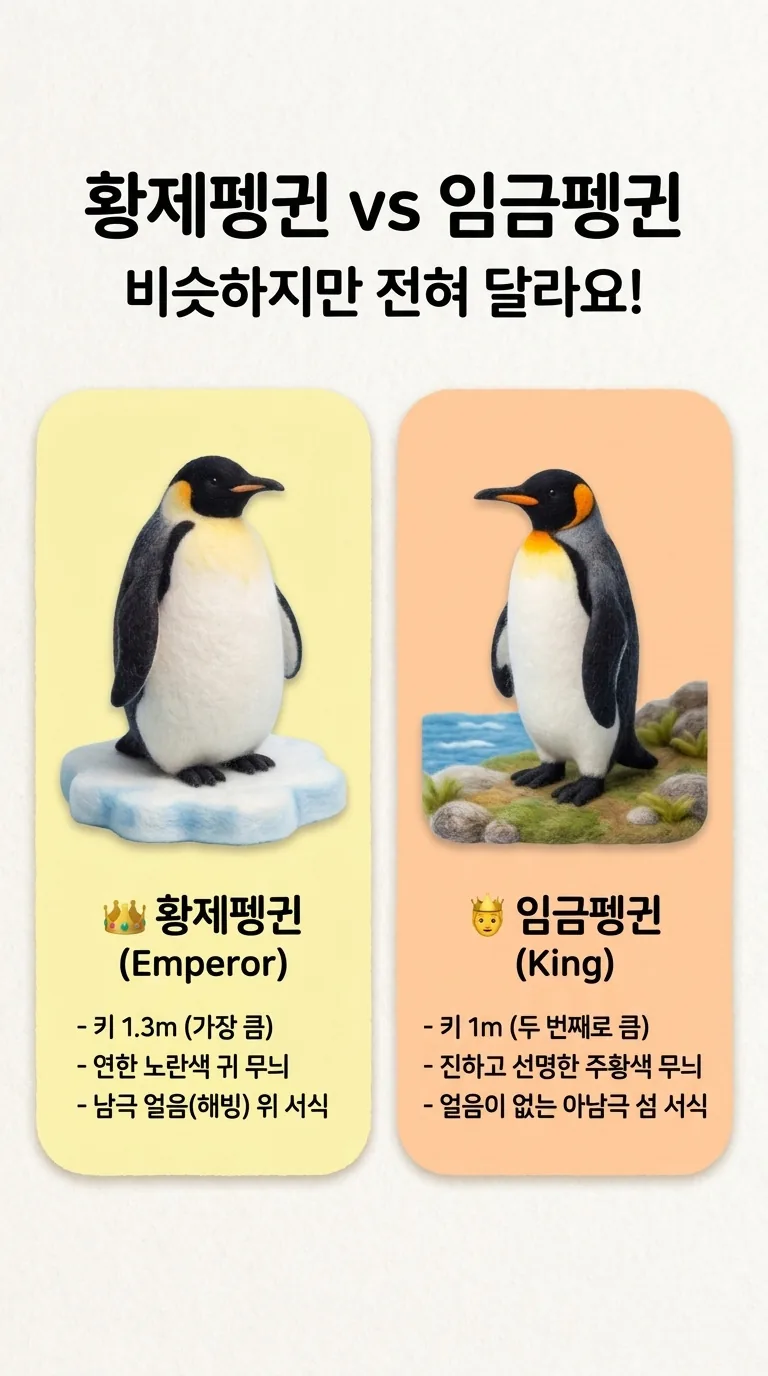 황제펭귄 vs 임금펭귄 — 비슷하지만 전혀 달라요! — 황제펭귄 (Emperor) / 임금펭귄 (King)