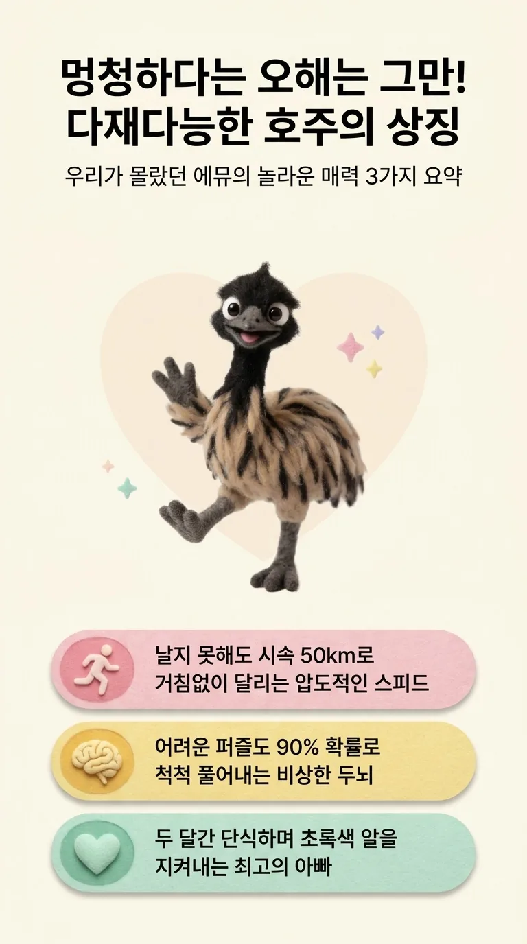 멍청하다는 오해는 그만! 다재다능한 호주의 상징 — 우리가 몰랐던 에뮤의 놀라운 매력 3가지 요약