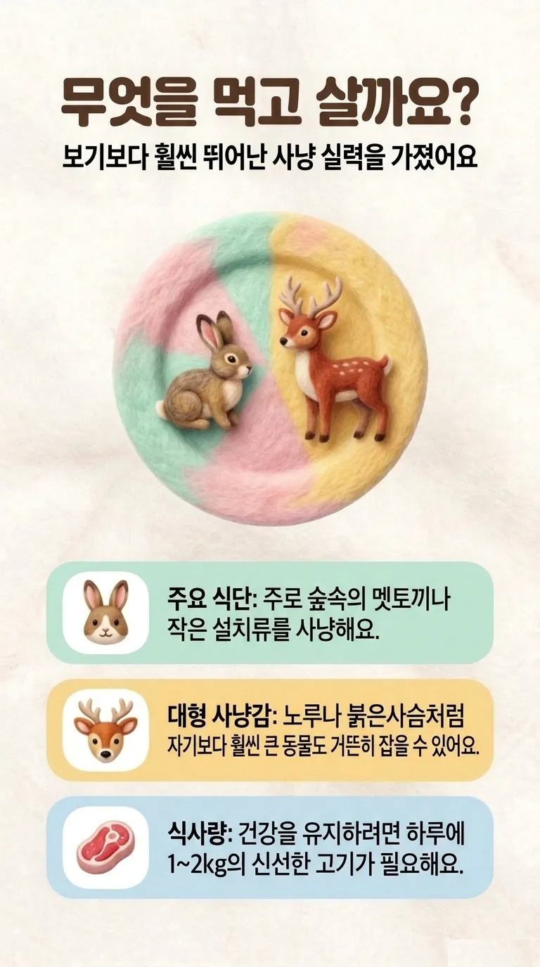 무엇을 먹고 살까요? — 보기보다 훨씬 뛰어난 사냥 실력을 가졌어요 — 주요 식단 / 대형 사냥감 / 식사량
