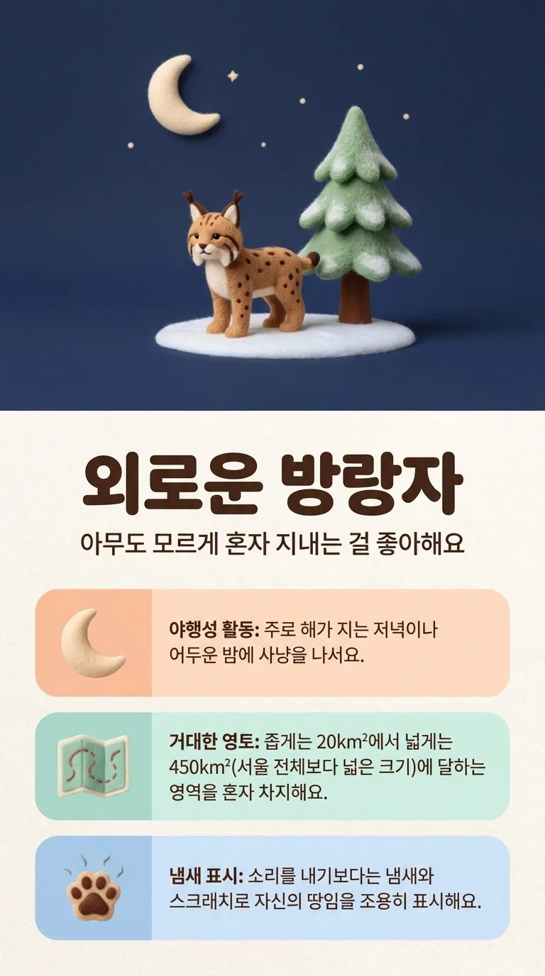 외로운 방랑자 — 아무도 모르게 혼자 지내는 걸 좋아해요 — 야행성 활동 / 거대한 영토 / 냄새 표시