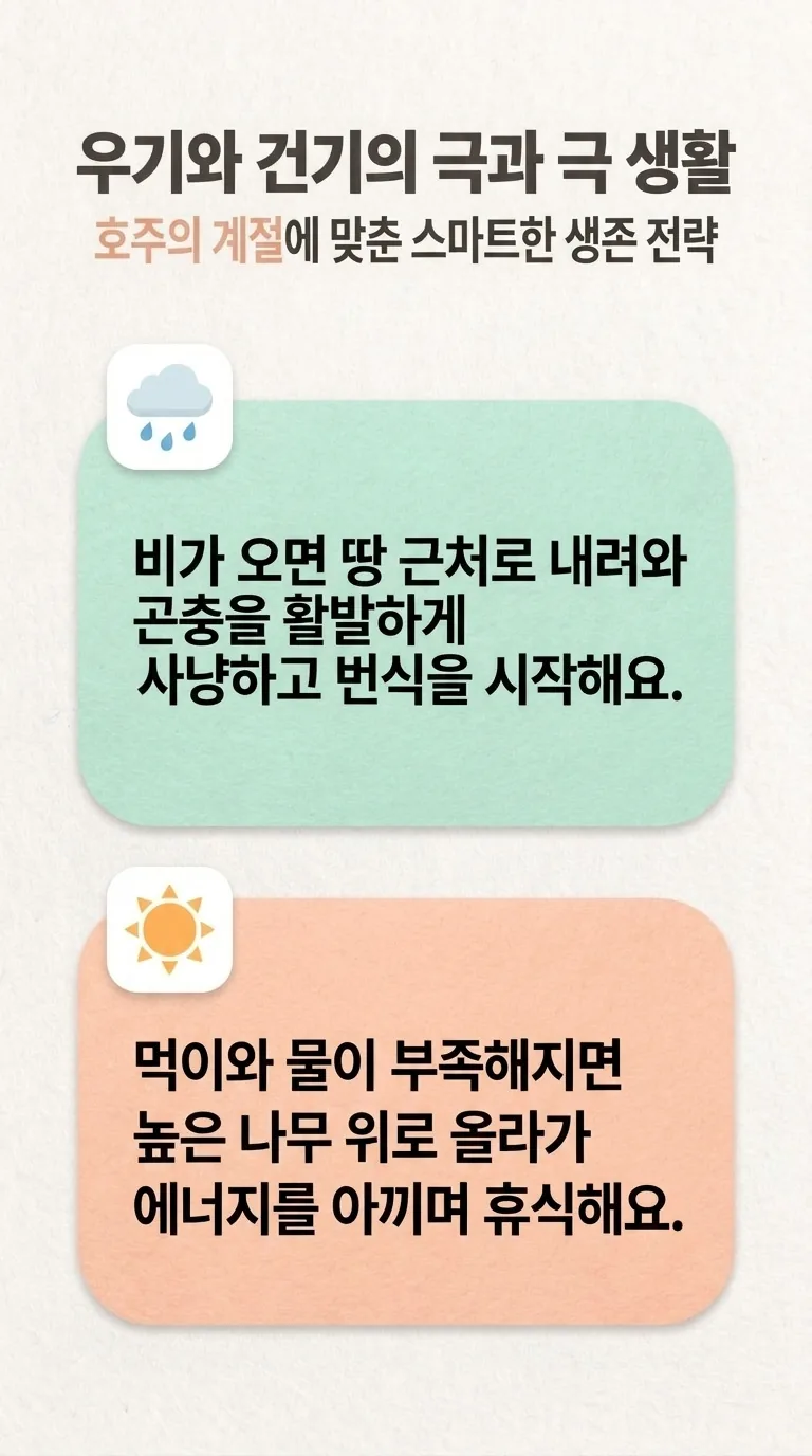 우기와 건기의 극과 극 생활 — 호주의 계절에 맞춘 스마트한 생존 전략