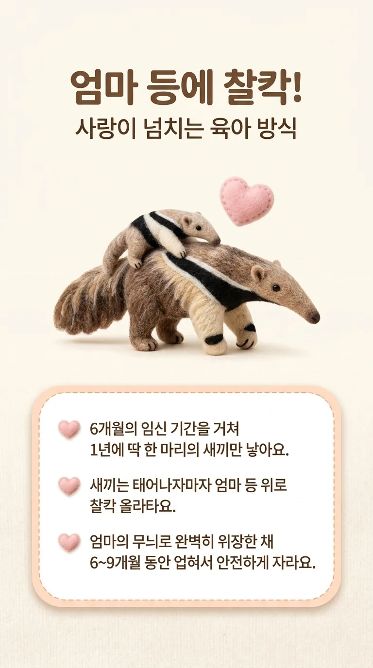 엄마 등에 찰칵! — 사랑이 넘치는 육아 방식