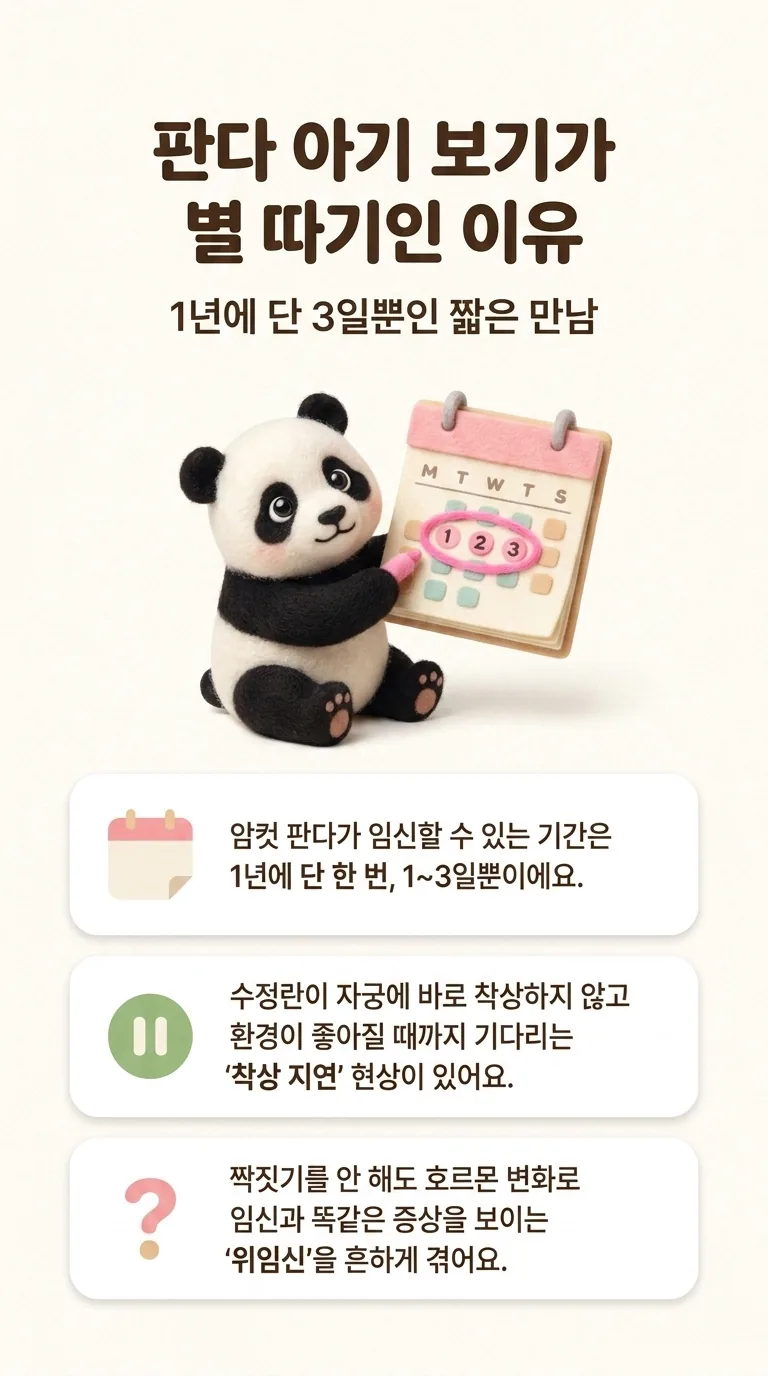 판다 아기 보기가 별 따기인 이유 — 1년에 단 3일뿐인 짧은 만남