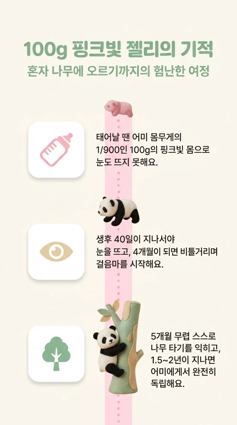 100g 핑크빛 젤리의 기적 — 혼자 나무에 오르기까지의 험난한 여정