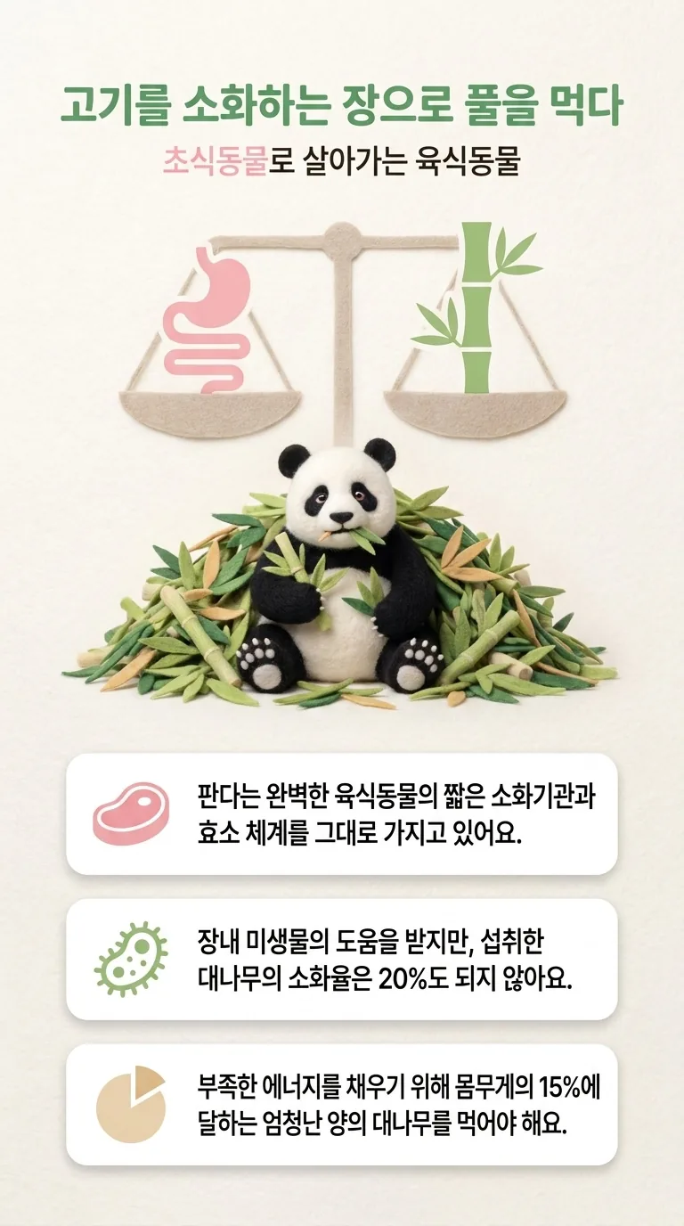 고기를 소화하는 장으로 풀을 먹다 — 초식동물로 살아가는 육식동물
