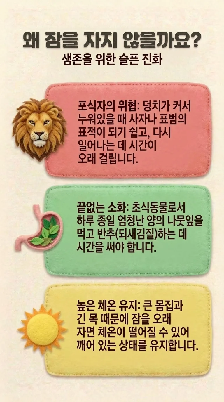왜 잠을 자지 않을까요? — 생존을 위한 슬픈 진화 — 포식자의 위협 / 끝없는 소화 / 높은 체온 유지