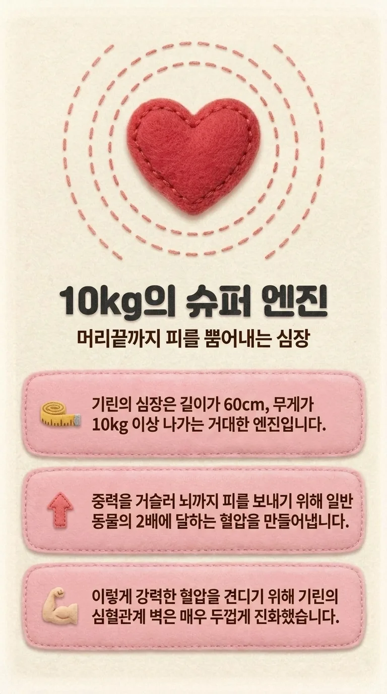 10kg의 슈퍼 엔진 — 머리끝까지 피를 뿜어내는 심장