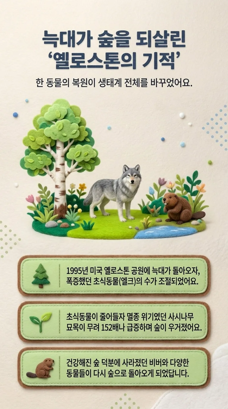 늑대가 숲을 되살린 '옐로스톤의 기적' — 한 동물의 복원이 생태계 전체를 바꾸었어요.
