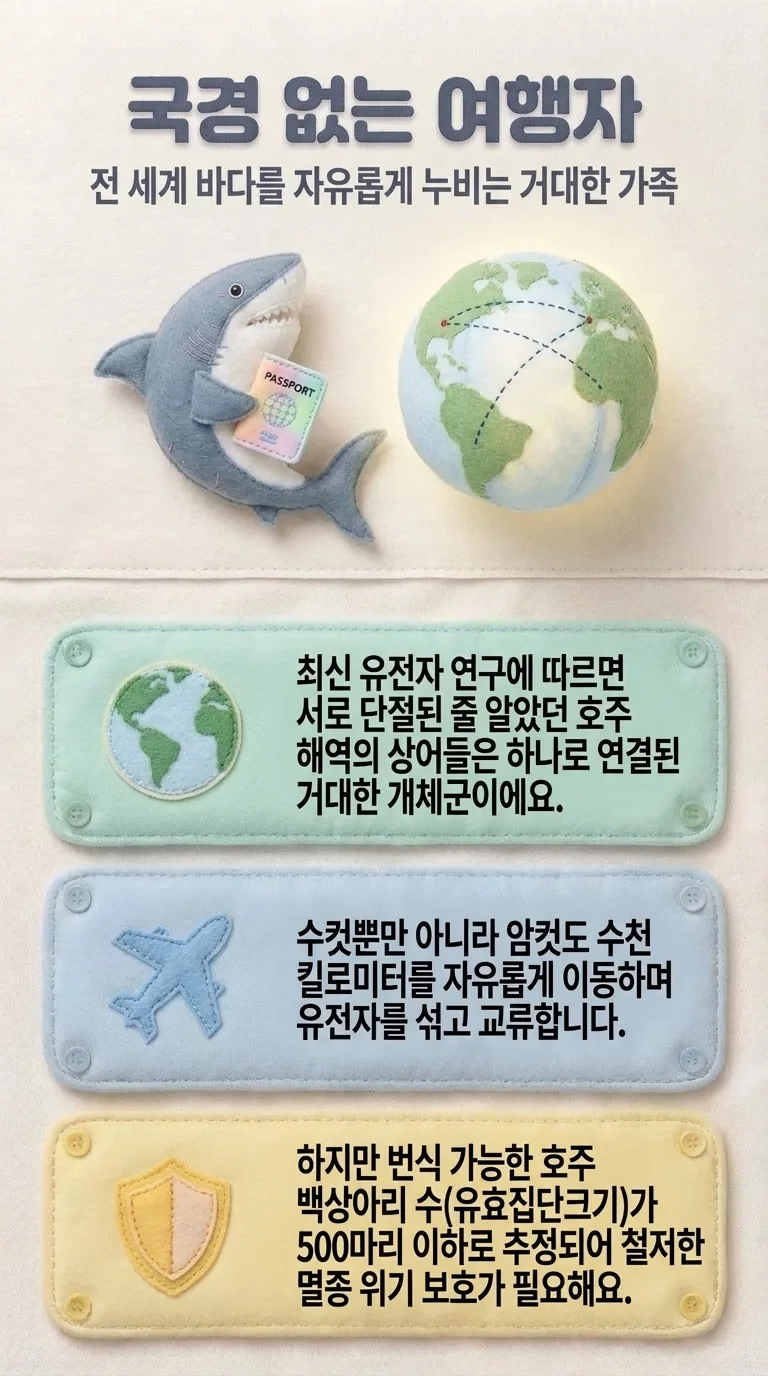 국경 없는 여행자 — 전 세계 바다를 자유롭게 누비는 거대한 가족