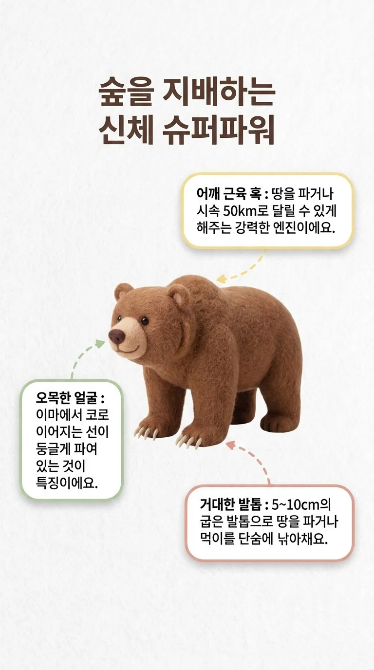 숲을 지배하는 신체 슈퍼파워 — 어깨 근육 혹 / 오목한 얼굴 / 거대한 발톱